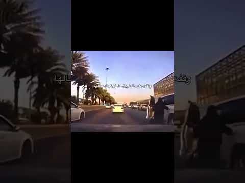 ياقوه قلب اللي دق لها بوري #اكسبلور #fypシ #ترند #تصميم_فيديوهات