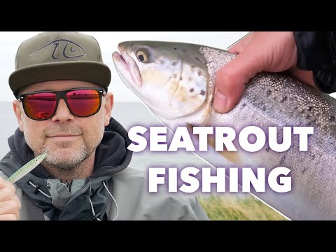 60cm Sea Trout Fishing in Denmark (Late Summer)