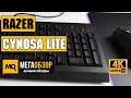 Razer RZ03-02741500-R3R1 - видео