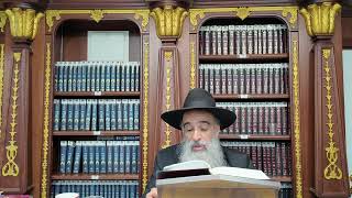 שולחן ערוך או"ח סימן נ"א • סעיף ו' - ט' | הרב מאיר דוד שמואלי