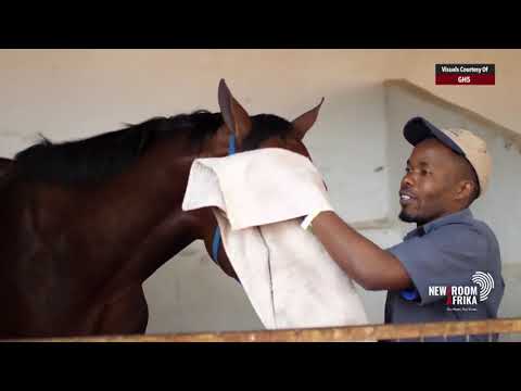 For the first time, the Durban July is held behind closed doors due to COVID-19