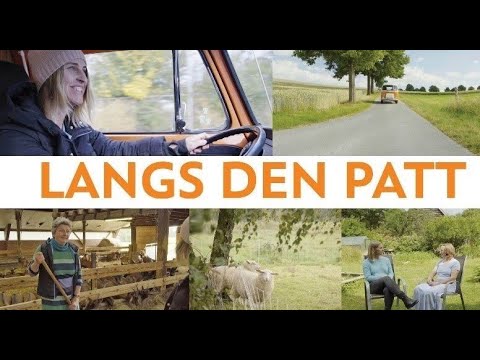 Langs den Patt | Eine Spurensuche in der westfälischen Sprachlandschaft
