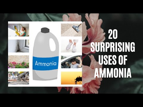 The Secrets 🤐Of Using Ammonia | 20 Household Tips And Uses of Ammonia During The Coronavirus