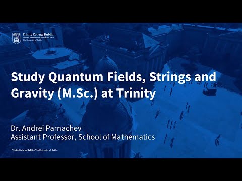 Quantum Fields, Strings and Gravity