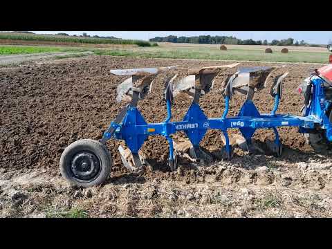 Humusy robią dobrą robotę.  Życie w glebie to podstawa.