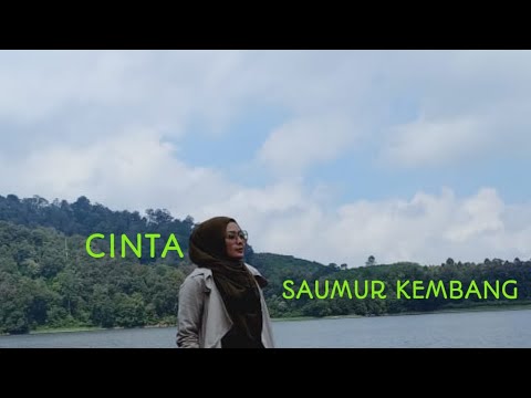 Cinta Saumur Kembang - Ayank Andriani Official Music Vidio ----