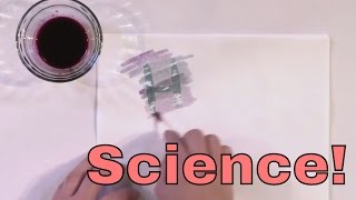 Make DIY Invisible Ink! Neat Chemistry Experiment to make Science Fun!