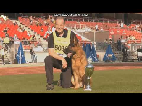 BSZS-2021 JKLR   5sg - 2sg сидя