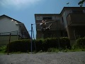 片手懸垂ホールド One arm pull up hold