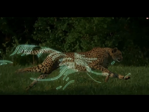 download lagu mp3 mp4 Luis Rosenberg, download mp3 Luis Rosenberg free download mp3, download mp3 Luis Rosenberg