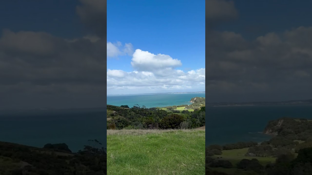 YouTube Short thumbnail