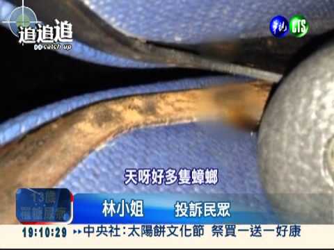 二輪"恐怖"戲院 蟑螂鑽腳驚聲叫