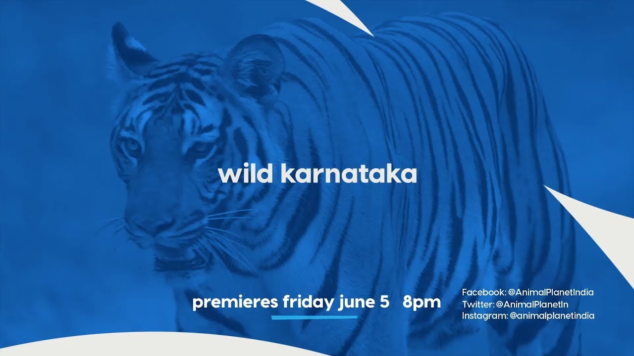 Official Site Shows and Documentary