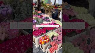 アムステルダム1泊2日vlog🇳🇱グルメも観光も満喫！ゴッホ美術館はとてもおすすめなので予約の上行ってみて✔︎ #ヨーロッパ旅行 #アムステルダム #fyp