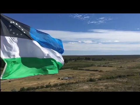 DESFILE DIA DE LA TRADICION 2025