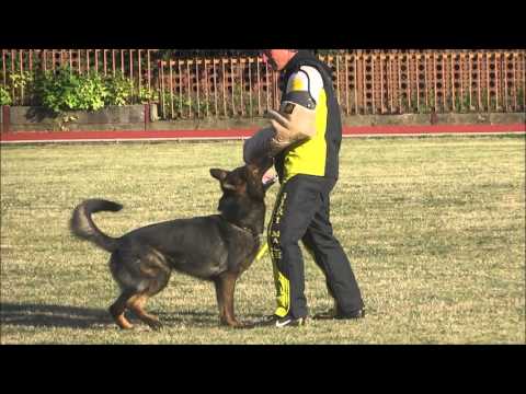 Czech Nationals 2015 Coudy z udoli Upy  Protection