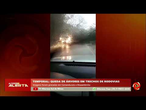 Chuva: queda de árvores em rodovias de Muzambinho e Camanducaia