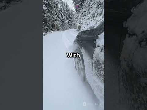 2022 SANTA CRUZ WINTER WONDER