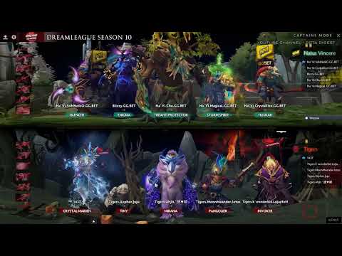 Tigers VS NaVi!! Grand Final DreamLeague 10 Minor