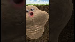 I’m a potato #imapotato #potato #funny #toddler