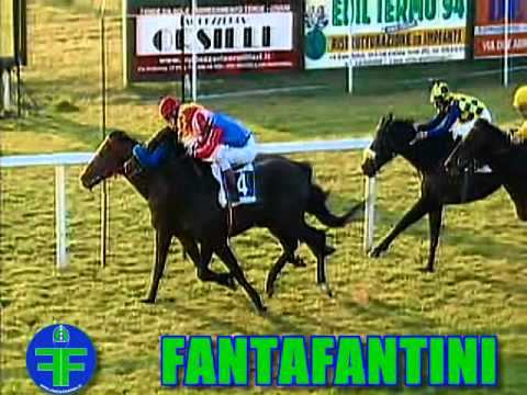 Premio Enrico Camici 2012 (LISTED RACE)