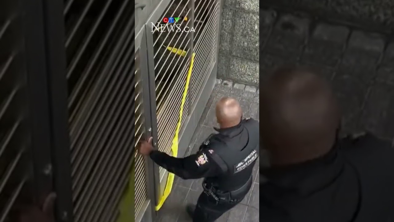 TTC employee facing assault charges in stabbing