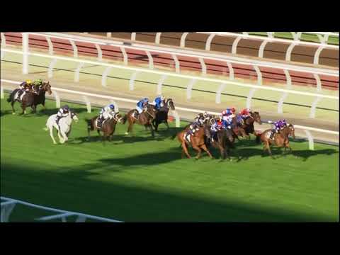 Blackbooker: Chapada