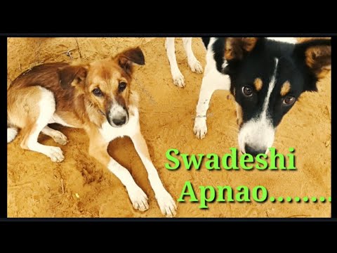 SWADESHI APNAO