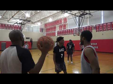 Schwifty vs AAO - sunday tier 4 - tcbl 2022 spring