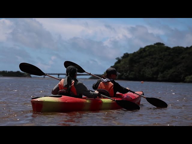 石垣島ドリーム観光