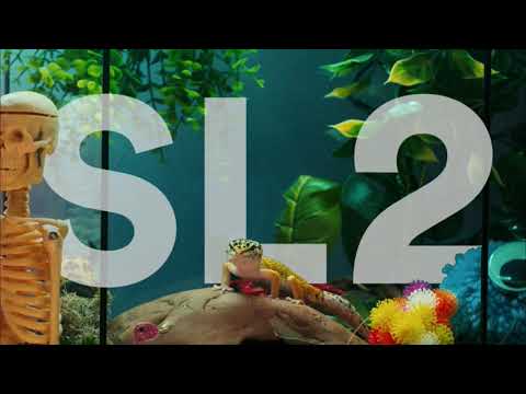 SL2 - On A Ragga Tip (Unlimit-ing Remix)