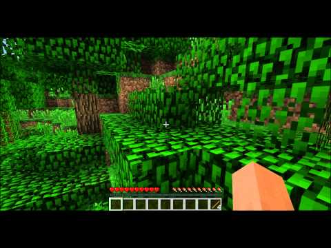 Minecraftbrothers Play Minecraft W/ Zach Episode 1