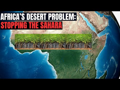 , title : 'How Africa is Building a Great Green Wall to Address the Saharan Desert's Water Crisis'