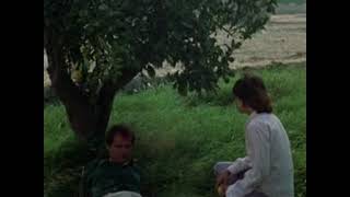 Ducktails - Plastic Melody (Audio)