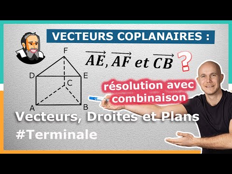 Montrer que 3 VECTEURS sont COPLANAIRES avec une COMBINAISON - Exercice Corrigé - Terminale