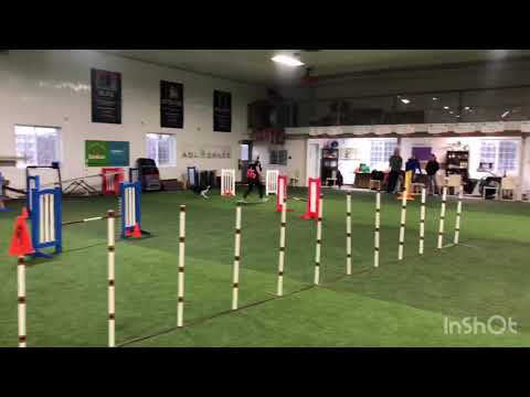 Bee-Line & Kayl McCann - D&D Seminar 2020