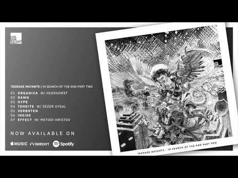 Teenage Mutants & Heerhorst feat. Aves Volare  -  Organica [Stil vor Talent]