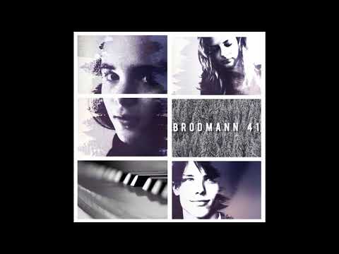 Brodmann 41 - Where the Road Meets the Sun