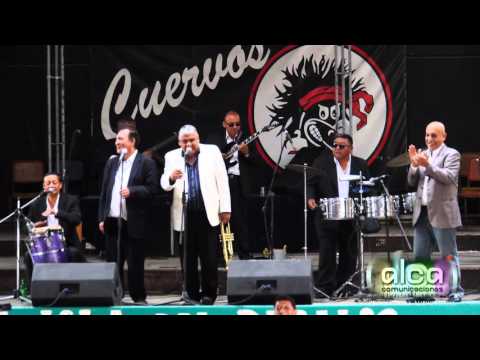 Vicente Gomez - Las Maracas