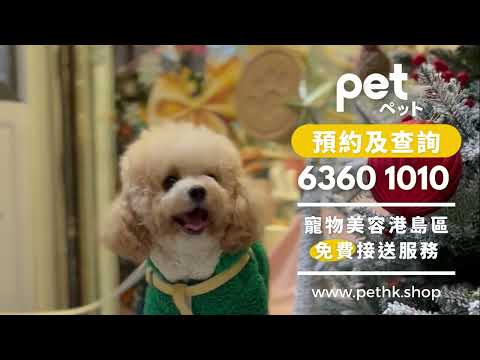 專業寵物美容 超過10年經驗 | pet Mid-Levels Edition | 香港