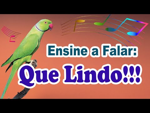 Phrase to teach ring neck to say "how beautiful" - phrase "how beautiful" to train ring neck