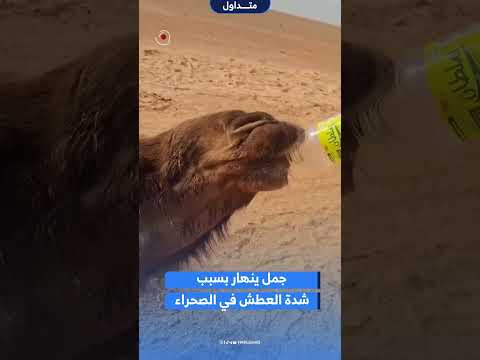خطية يقهر