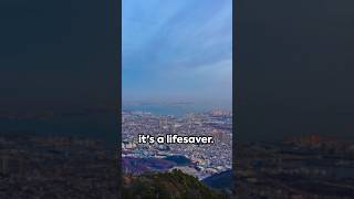 Disaster-Proof Cities: Kobe's Resilient Plan #city #design #shorts