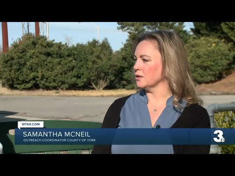 Plastic Bags to Benches