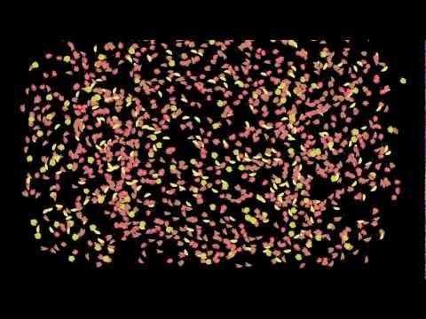 Vis Unita Autumn Logo