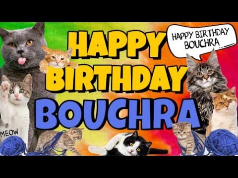Happy Birthday Bouchra! Crazy Cats Say Happy Birthday Bouchra (Very Funny)