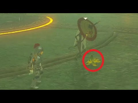 Monk Maz Koshia likes bananas?! | BotW easter egg