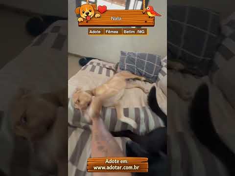Vídeo de Nala