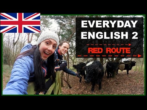 Shorter Version 250 Essential English Words PRONUNCIATION LESSON
