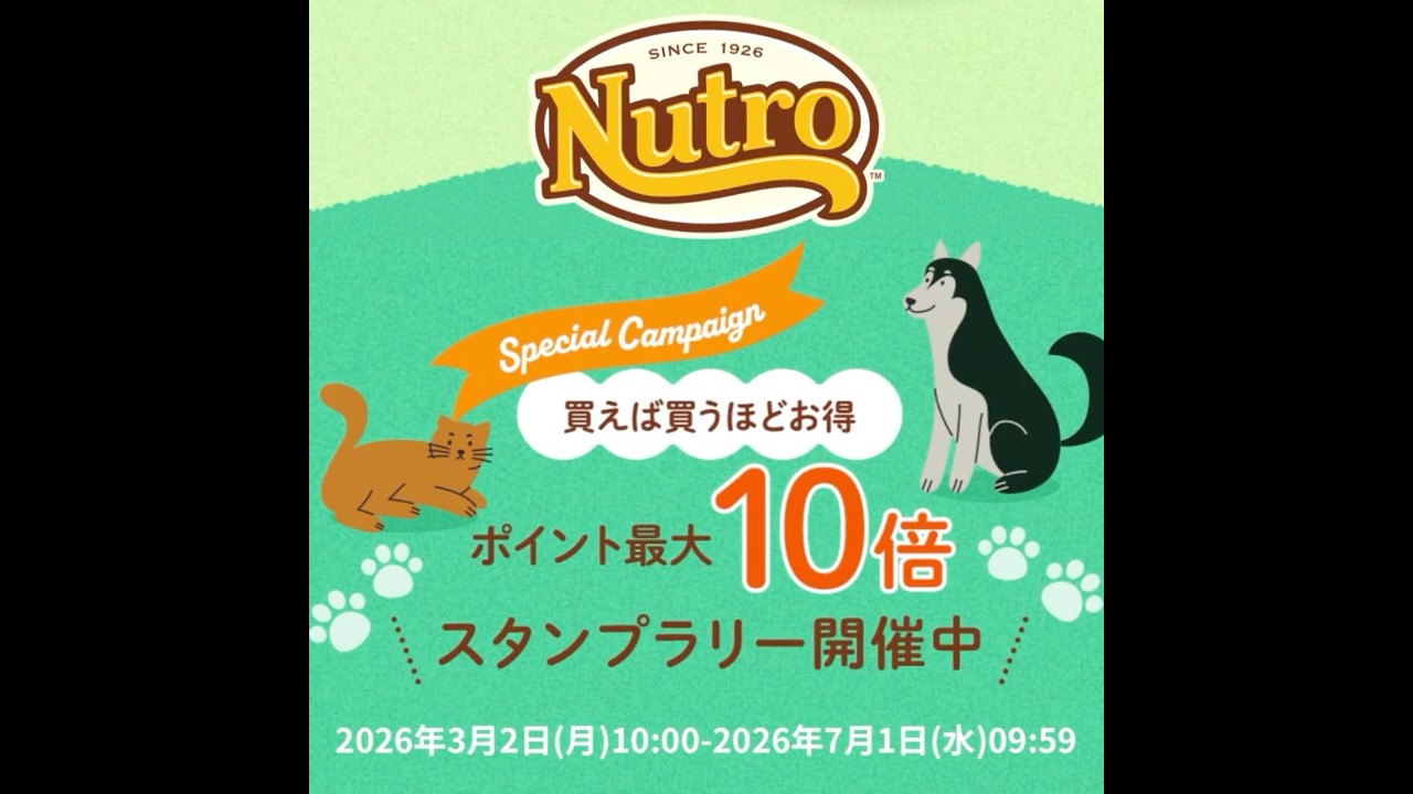 👉 ニュートロ100周年で買うほどお得になる？！　#ペッツビレッジクロス #ペット  #ドッグフード #キャットフード　#ニュートロ